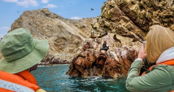 TOUR ISLAS BALLESTAS-PARACAS